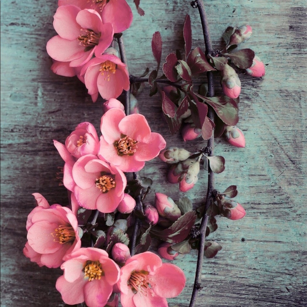 Meet your Posher, RACY MO